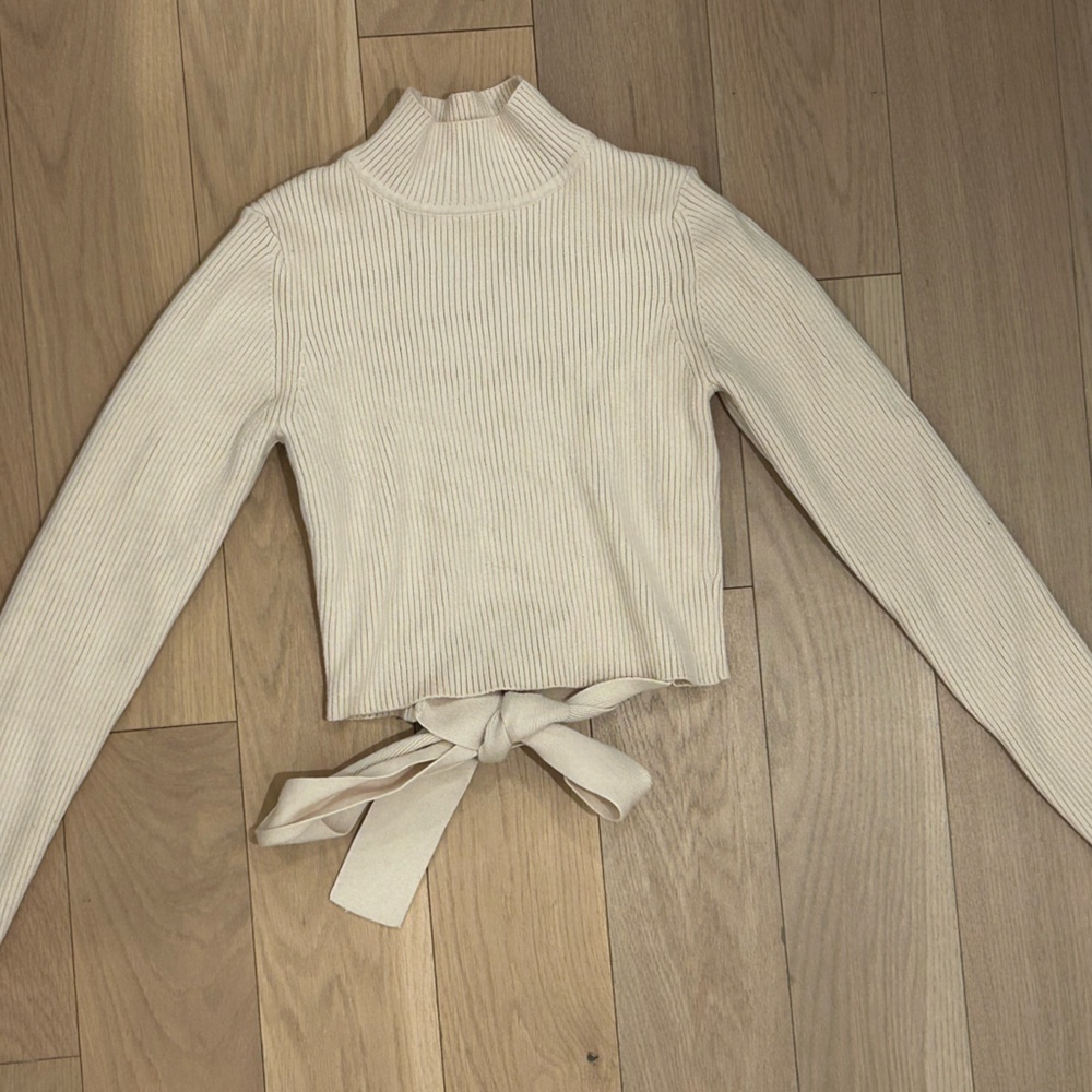 Zara Backless Long Sleeve Ribbed Top